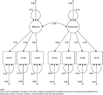 Psychometric Evaluation of the Czech Version of Group Cohesiveness Scale (GCS) in a Clinical Sample: A Two-Dimensional Model